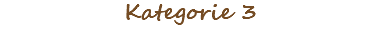 Kategorie 3
